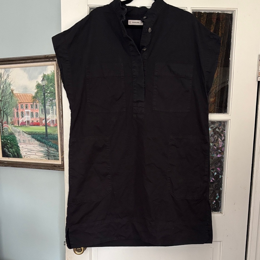 Everlane Work Wear Shirt Dress